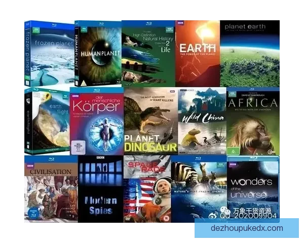 《探索BBC拜罗伊特72-78图寅根雷达虎发展历程与技术创新》